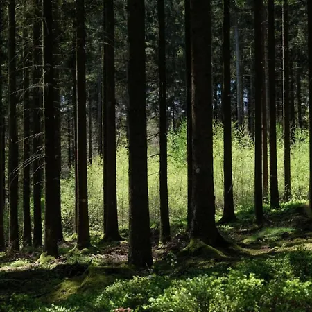 Vakantiehuis Group House With 3 For Family *