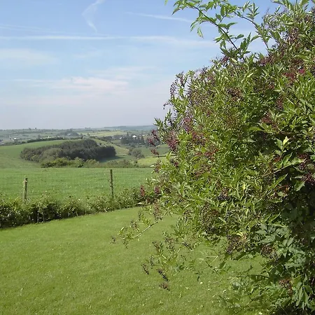 Beautiful In Heppenbach With Garden *
